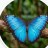 Yigit_polat